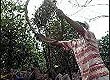 Reprodu��o