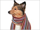 Reprodu��o/Dreamstime