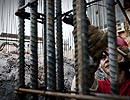 Leonardo Wen/Folha Imagem Leonardo Wen/Folha Imagem