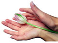 Dreamstime/Bbel