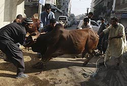 Fareed Khan/AP