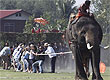 David Longstreath/AP