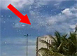 Reprodução Reprodução