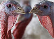 Carolyn Kaster/AP