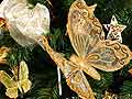 Dreamstime