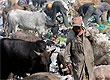 Simon Maina/AFP Simon Maina/AFP