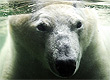 Martin Meissner/AP