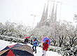 David Ramos/AP Photo