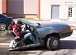 Reprodu��o