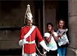 Reprodu��o