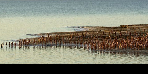 Fotógrafo reúne multidão de pelados em praia do mar Morto em Israel