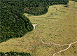 Fernando Donasci/Folhapress - Arquivo Fernando Donasci/Folhapress - Arquivo