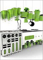 Atitude Sustentável