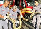Divulgação/Corpo de Bombeiros