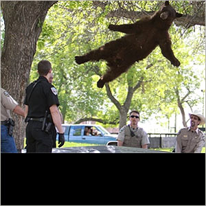 Andy Duann/CU Independent/AP