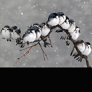 David Duprey/Associated Press 