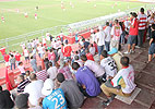 Milton Flores/UOL Esporte