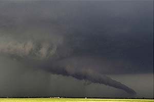 Gene Blevins/Reuters